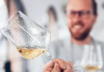Abendliche Weinprobe in exklusivem Weinkeller Vienna