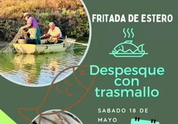 ESTERO NATURAL: FRITADA DE ESTERO en PUERTO REAL (PUNTO LIMPIO DE CASINES A LAS 12:00)