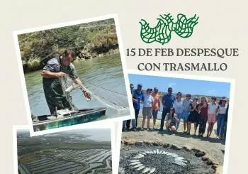 ESTERO NATURAL : ARTES DE PESCA Y OSTRICULTURA en PUERTO REAL (PUNTO LIMPIO DE CASINES A LAS 12:00)