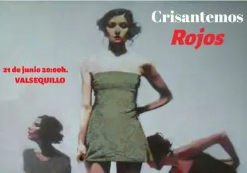 Crisantemos Rojos en Valsequillo