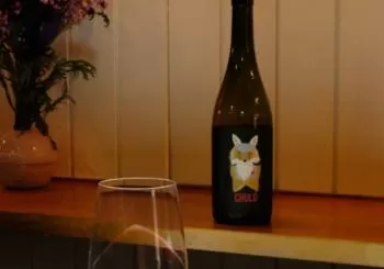 Cata de Vinos en Rustico en Madrid
