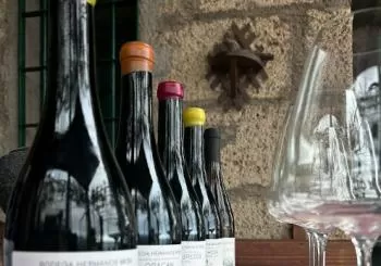 Cata de Vinos: 25 de julio en Puerto de la Cruz