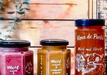 Cata de miel gourmet artesanal y elaboración de vela de cera de abeja en Segovia