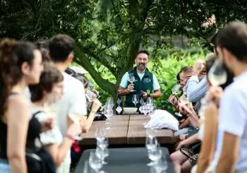 Visita y cata en bodegas Martínez Parrondo en Cangas del Narcea