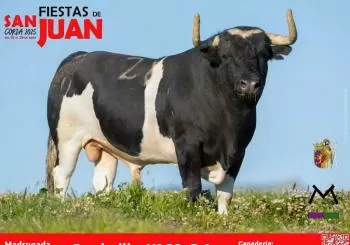 Fiestas de San Juan 2025 - Madrugada 24 de junio en CÁCERES