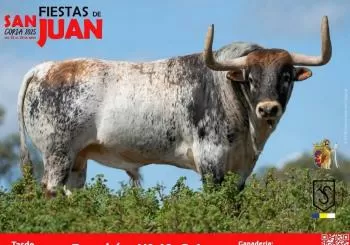 Fiestas de San Juan 2025 - Tarde 24 de junio en CÁCERES