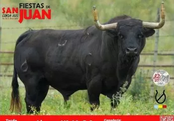 Fiestas de San Juan 2025 - Tarde 25 de junio en CÁCERES