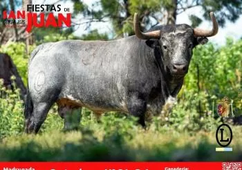 Fiestas de San Juan 2025 - Madrugada 26 de junio en CÁCERES