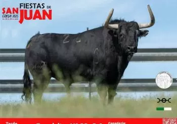 Fiestas de San Juan 2025 - Tarde 26 de junio en CÁCERES