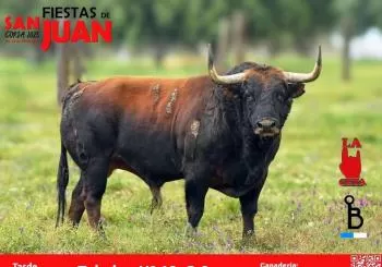 Fiestas de San Juan 2025 - Tarde 28 de junio en CÁCERES