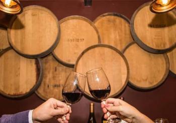 Santa Rita Winery Premium Tour Santiago