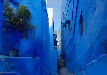 Walk in blue City Jodhpur