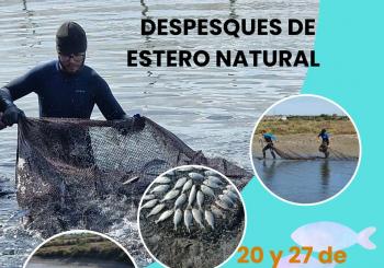 ESTERO NATURAL: DESPESQUES 2025 en PUERTO REAL (PUNTO LIMPIO DE CASINES A LAS 11:00)