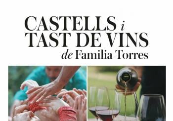 Taller Casteller i Tast de Vins Solidari en 08720 Vilafranca del Penedès, Barcelona
