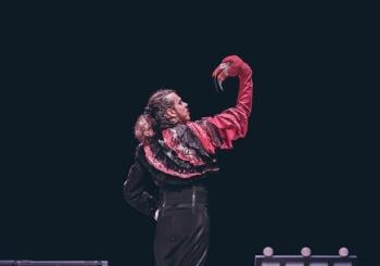 34 FIOT CARBALLO. OTNI. CHICHARRÓN CIRCO FLAMENTO – Empaque