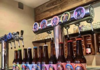 Cata de Cerveza con Picoteo en Madrid