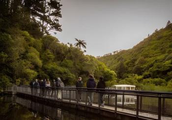Zealandia - Twilight Guided Eco Wildlife Tour en Wellington