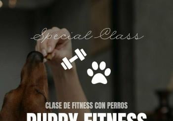 PUPPY FITNESS en Castellar del Vallès