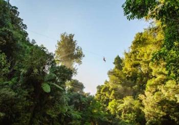 Okere Falls Zipline Experience Rotorua