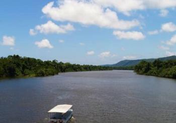 Ultimate Daintree Rainforest Wildlife Experience Cruise Port Douglas