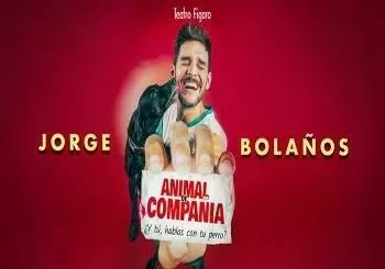 Jorge Bolaños en Valencia
