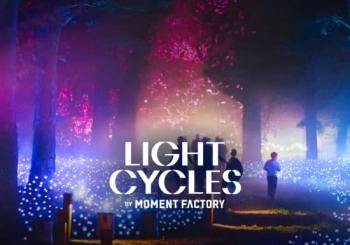 Light Cycles: ¡Una experiencia inmersiva nocturna entre luces y sonidos de la naturaleza! en Mexico City