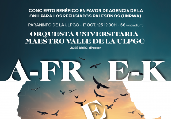 A-FREE-K en Las Palmas de Gran Canaria