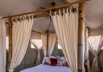 El Toril Glamping Experience: tienda safari, una noche y desayuno en Madrid