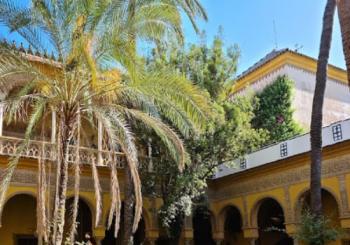 Sevilla Patrimonial: Las Setas, La Macarena y Palacio de Dueñas