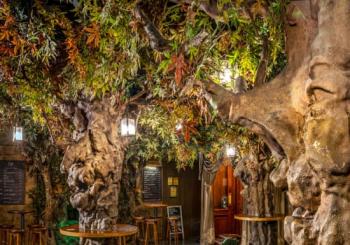 2x1 en Bulldog gin-tonic en Bosc de les Fades en Barcelona