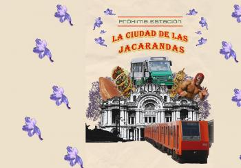 Próxima Estación: La Ciudad de las Jacarandas en Ciudad de Mexico