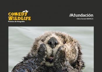 Comedy Wildlife. Premios de Fotografía en Pontevedra