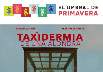 TAXIDERMIA DE UNA ALONDRA en Madrid