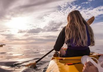 Kayak to the penguins in Simons Town Cape Town