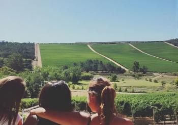 Wine Beer and Biltong Safari - Stellenbosch en Cape Town