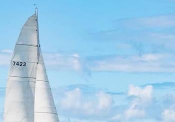 Island Hopper Day Cruise - sailing to wildlife sanctuary island - 6 hr cruise Paihia