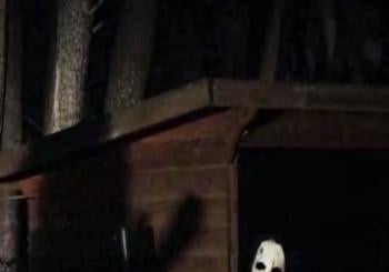 La última acampada: Halloween Experience by Diverbosc en Barcelona