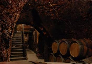 Excursión de 1 día con cata de vinos por la región de Madrid
