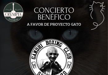 CONCIERTO BENÉFICO A FAVOR DE PROYECTO GATO en Vigo