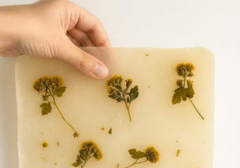 ARTE ORGÁNICO: CREA TU CUADRO CON BIOMATERIALES Y FLORES SECAS en Madrid