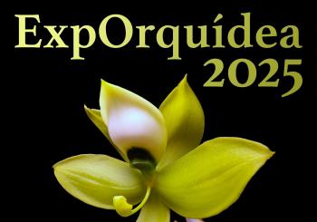 ExpOrquídea 2025. 13 y 14 de Diciembre 2025 en Madrid