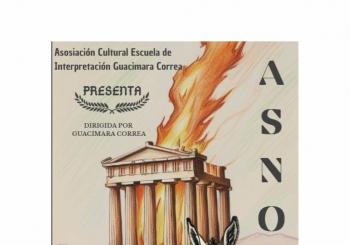 Asno en Las Palmas