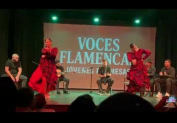VOCES FLAMENCAS JOVENES PROMESAS en Palma de Mallorca