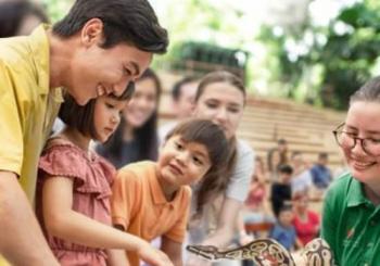 Singapore Zoo: Meet orangutans, snakes and more