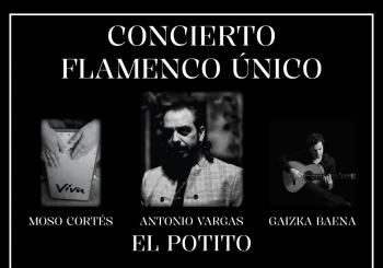 Flamenco unico potito en Palma de Mallorca