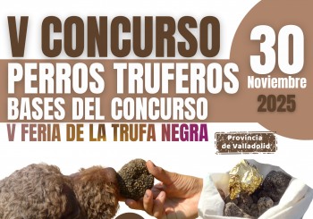 V Concurso de Perros Truferos. 30 de Noviembre de 2025 (11:15 hs.) en Cogeces del Monte