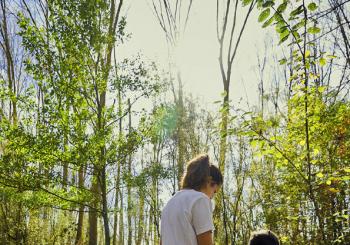 Naturaleza cercana- Bosque de Armentia en Vitoria-Gasteiz