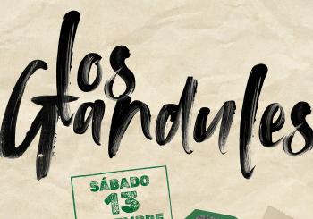Noche de sábado con Los Gandules 2025 en Zamora