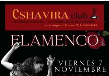 Trasnoche flamenco en Granada