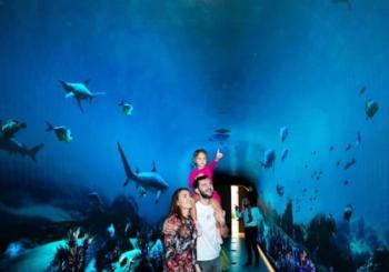 The View at The Palm: The View (Level 52) en United Arab Emirates